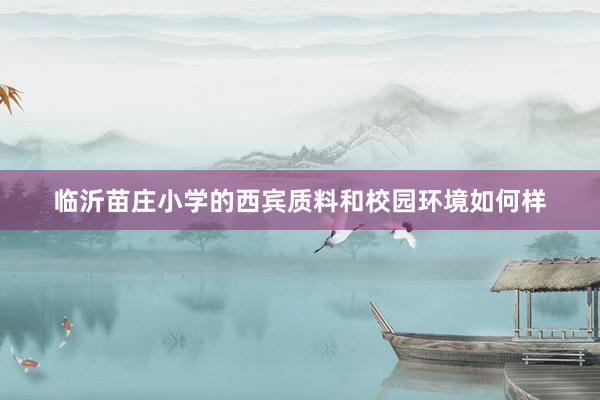 临沂苗庄小学的西宾质料和校园环境如何样