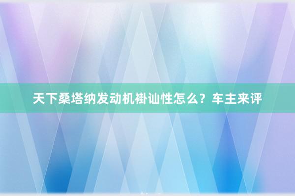 天下桑塔纳发动机褂讪性怎么?车主来评