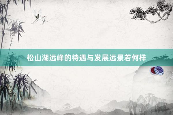 松山湖远峰的待遇与发展远景若何样